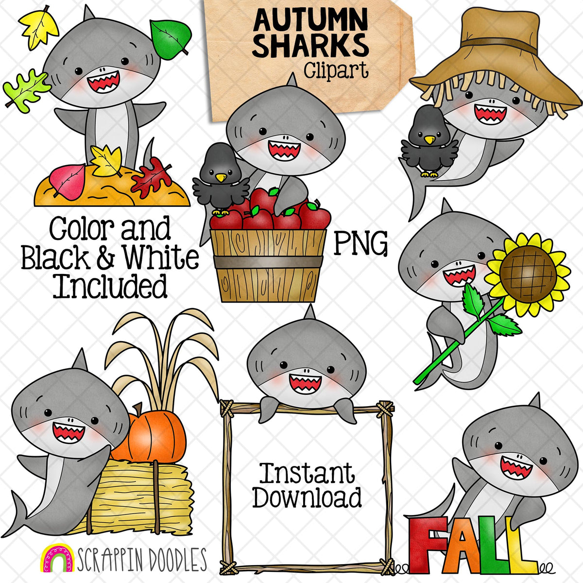 Seasonal Shark Clip Art Bundle - Grey Shark Clipart - Baby Shark