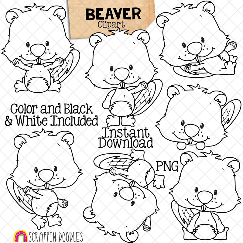 Beaver ClipArt - Beavers Posing - Different Poses - Peeking - Laying - Cartwheel - Sitting - Woodland Beavers - Commercial Use