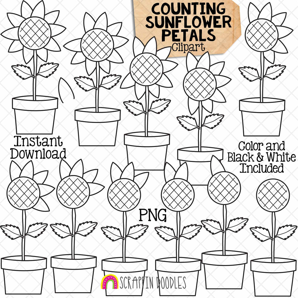 Counting Sunflowers ClipArt - Autumn Sunflower Petal Counting - Seasonal Math Graphics - Commercial Use PNG