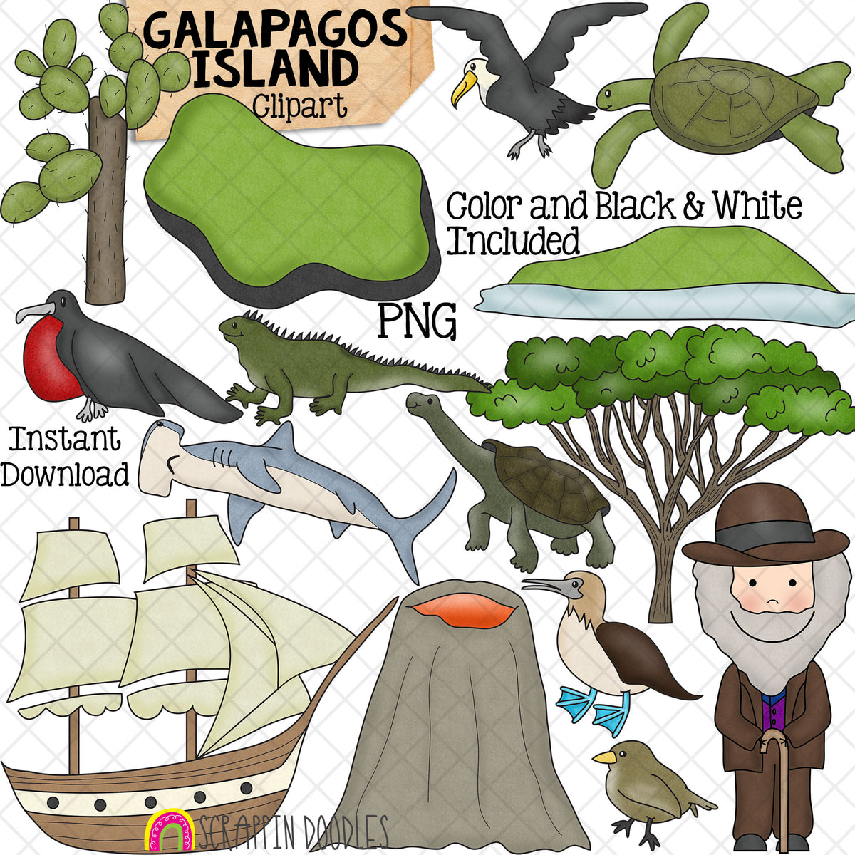 Galapagos Islands ClipArt - Charles Darwin - Long Necked Tortoise - Blue Footed Booby - Finch - Iguana - Sea Turtle - Frigate Bird - Hammerhead Shark - Albatross - Cactus - Tree - Volcano - Ship - Boat - Island - Commercial Use PNG