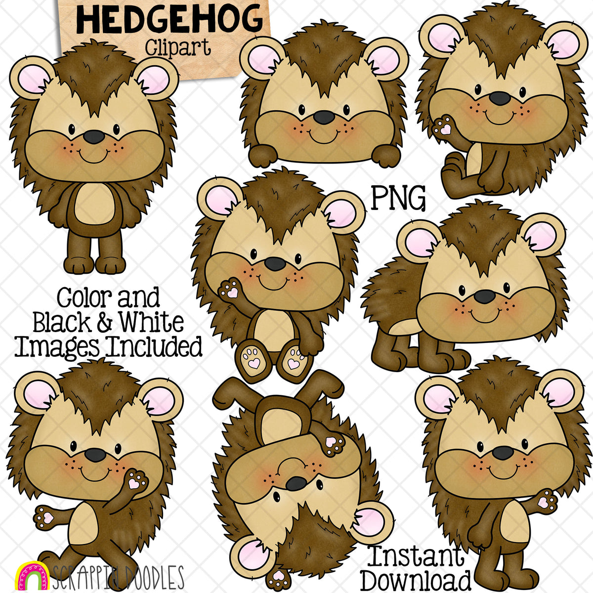 Hedgehog ClipArt - Cute Hedgehogs Posing Graphics - Card Making - Digital Paper Crafts - Commercial Use - PNG