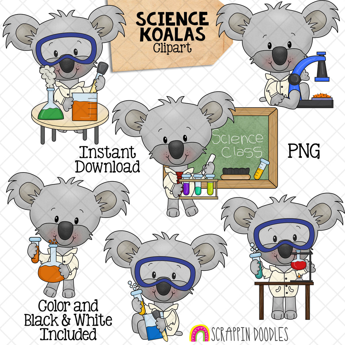 Koala ClipArt - School Science Koala Bears Graphics - Commercial Use PNG