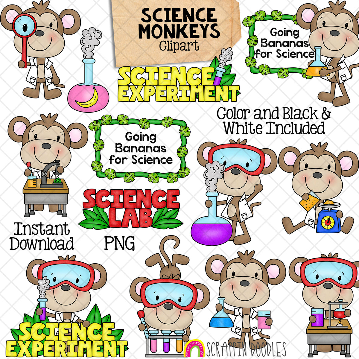 Monkey Clip Art - Monkeys Doing Science - Jungle Animals - School - Learning Science Experiments - Commercial Use PNG Sublimation