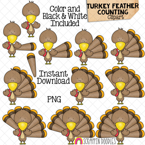 Counting Turkey Feathers ClipArt - Thanksgiving Turkey Feather Clip Art - Autumn - Seasonal Math Graphics - Commercial Use PNG