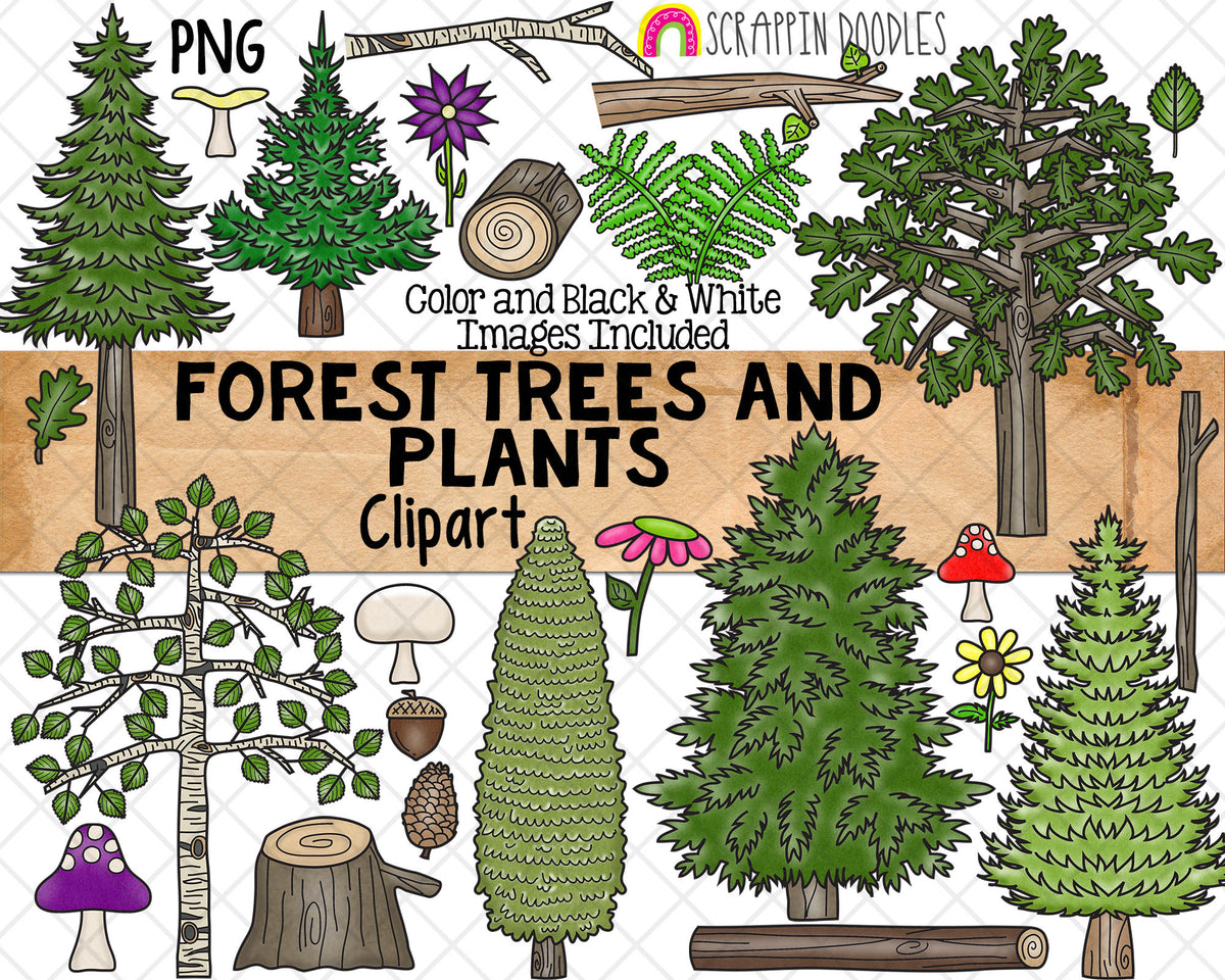 Forest Trees and Plants ClipArt - Birch Tree - Pine Tree - Cedar - Mushrooms - Woodlands -Logs - Commercial Use PNG