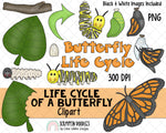 Life Cycle Clip Art - Butterfly Life Cycle Clip Art - Chrysalis ClipArt - Larvae ClipArt - Butterfly Chrysalis ClipArt - Insect ClipArt