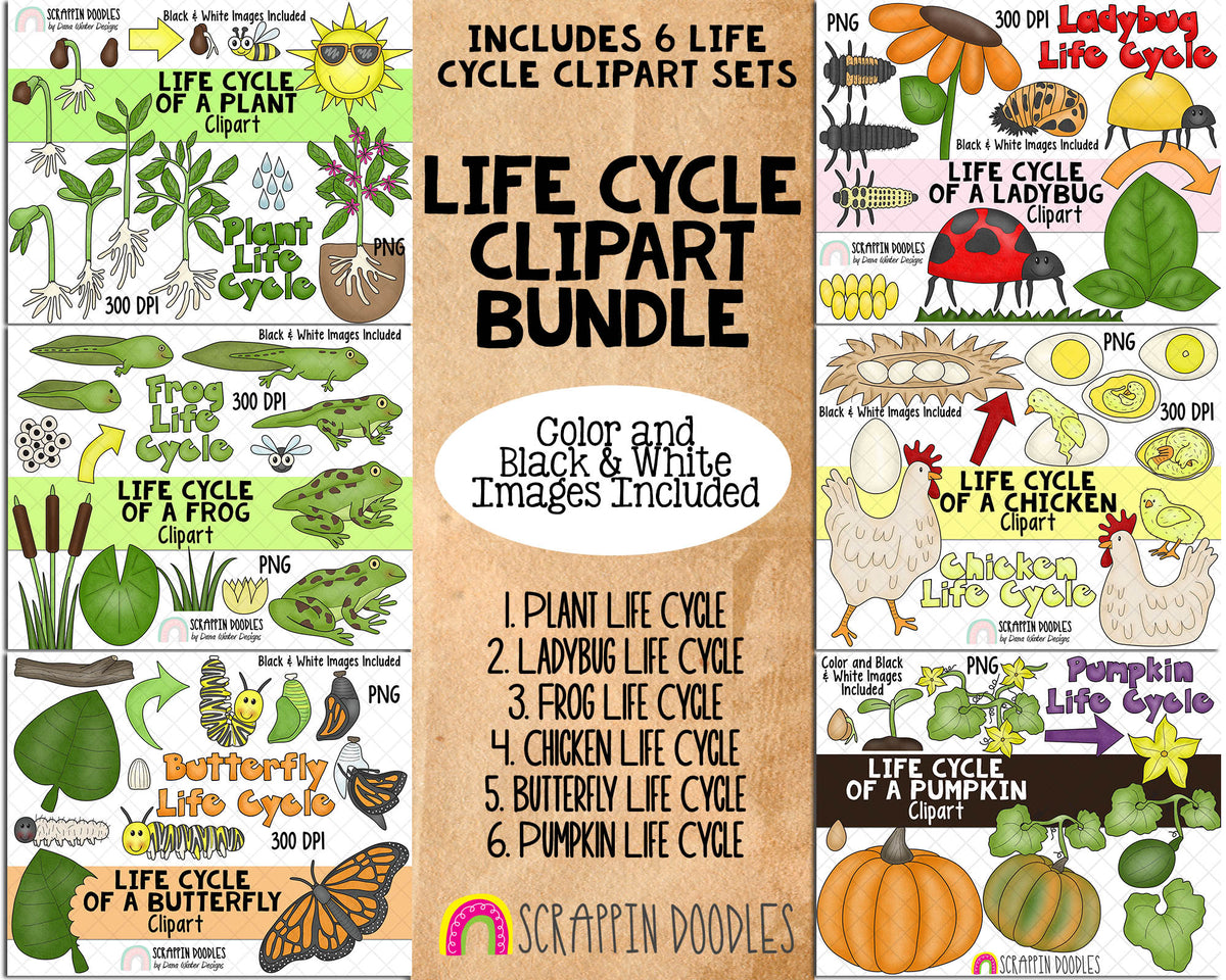 Life Cycle ClipArt Bundle