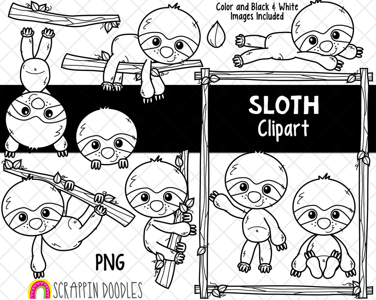 Sloth ClipArt - Cute Sloth Clipart - Jungle Animal - Sloth In Tree - Hand Drawn PNG - Branch Frame - Sloth Hanging Graphics