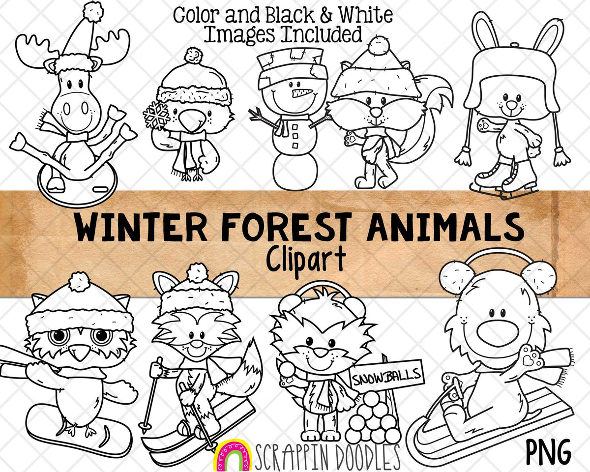 Winter Forest Animals ClipArt - Woodland Brown Bear - Moose - Raccoon - Fox PNG - Commercial Use